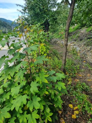 김용대님의 자유주제 · 자유게시판 작성글 사진