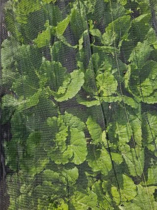 유명숙님의 배추 · 영농일지 작성글 사진