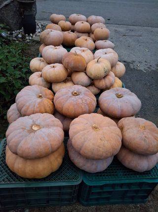 님의 자유주제 · 자유게시판 작성글 사진