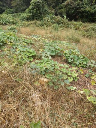 님의 자유주제 · 자유게시판 작성글 사진