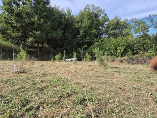 왕대추님의 자유주제 · 자유게시판 작성글 사진