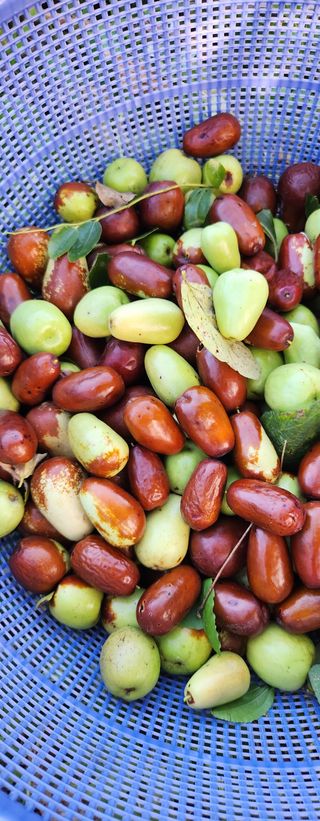 홍순강화모리님의 자유주제 · 자유게시판 작성글 사진