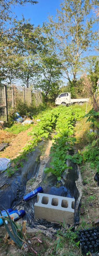홍순강화모리님의 자유주제 · 자유게시판 작성글 사진