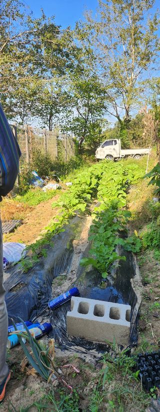 홍순강화모리님의 자유주제 · 자유게시판 작성글 사진