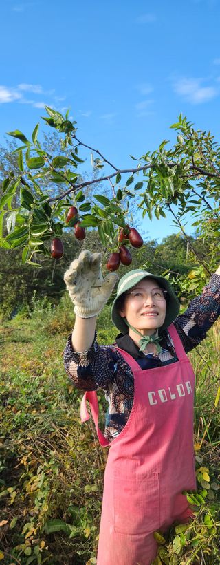 홍순강화모리님의 파 · 영농일지 작성글 사진