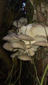 팜모닝 자유주제·자유게시판 게시글 이미지