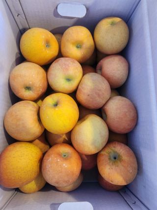 김육환님의 작성글 사진