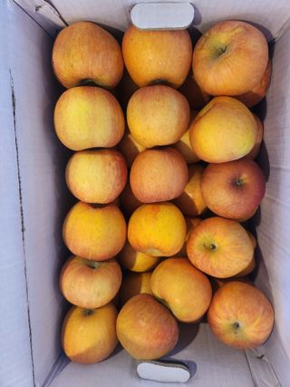 김육환님의 작성글 사진