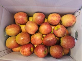 김육환님의 작성글 사진