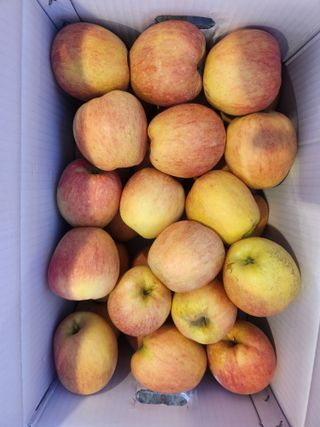 김육환님의 작성글 사진