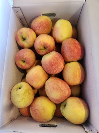 김육환님의 작성글 사진