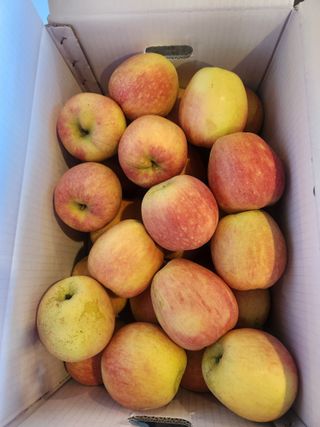 김육환님의 작성글 사진