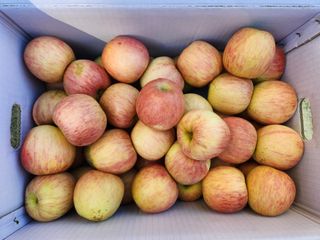 김육환님의 작성글 사진