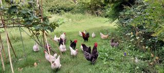 김영복님의 작성글 사진