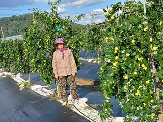 남산만남님의 10월 내 농작물 자랑하기 · 참여글 작성글 사진