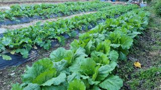 여백님의 자유주제 · 자유게시판 작성글 사진