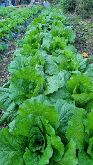 여백님의 자유주제 · 자유게시판 작성글 사진