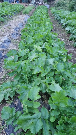 여백님의 자유주제 · 자유게시판 작성글 사진