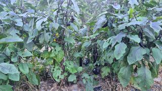 여백님의 자유주제 · 자유게시판 작성글 사진