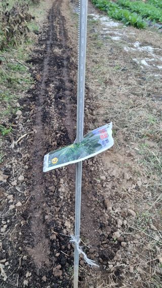 여백님의 자유주제 · 자유게시판 작성글 사진