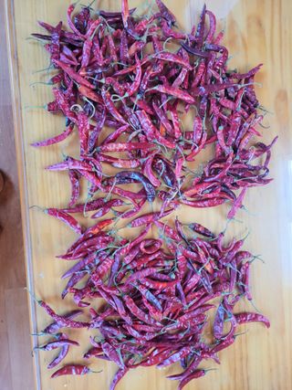 북극성짱님의 자유주제 · 자유게시판 작성글 사진