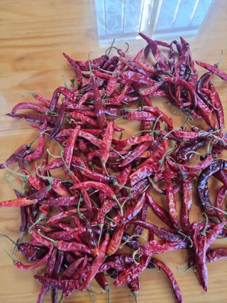 북극성짱님의 자유주제 · 자유게시판 작성글 사진