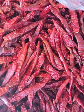 북극성짱님의 자유주제 · 자유게시판 작성글 사진