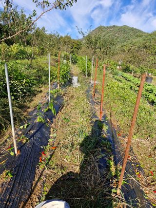 정석구님의 자유주제 · 자유게시판 작성글 사진