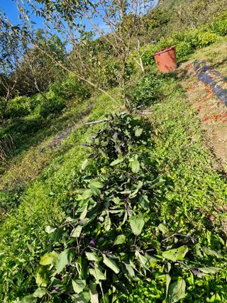 정석구님의 자유주제 · 자유게시판 작성글 사진