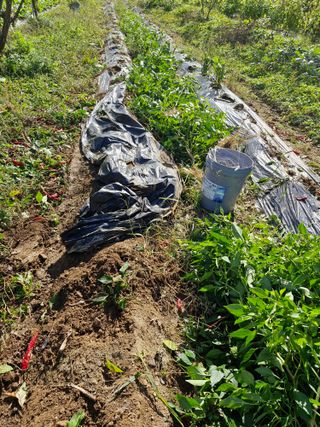 정석구님의 자유주제 · 자유게시판 작성글 사진