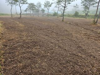 (주)연리지윤태금님의 10월 내 농작물 자랑하기 · 참여글 작성글 사진