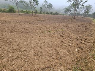 (주)연리지윤태금님의 10월 내 농작물 자랑하기 · 참여글 작성글 사진