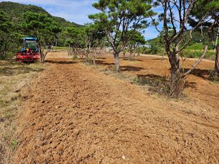 (주)연리지윤태금님의 10월 내 농작물 자랑하기 · 참여글 작성글 사진