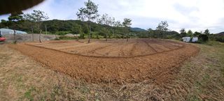 (주)연리지윤태금님의 10월 내 농작물 자랑하기 · 참여글 작성글 사진