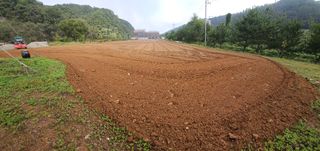 (주)연리지윤태금님의 10월 내 농작물 자랑하기 · 참여글 작성글 사진