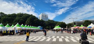 속리산정이품농원님의 자유주제 · 자유게시판 작성글 사진