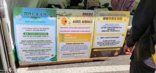 속리산정이품농원님의 자유주제 · 자유게시판 작성글 사진