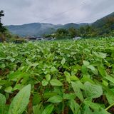 팜모닝 자유주제·사진전 게시글 이미지