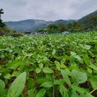 박종문님의 자유주제 · 사진전 작성글 사진