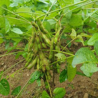 박종문님의 자유주제 · 사진전 작성글 사진