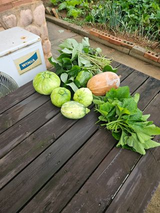 류만수님의 자유주제 · 자유게시판 작성글 사진