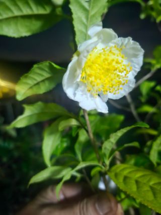 류만수님의 자유주제 · 자유게시판 작성글 사진