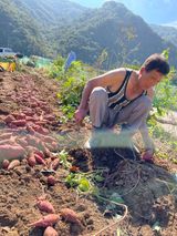 팜모닝 자유주제·자유게시판 게시글 이미지