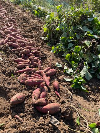 정연희님의 자유주제 · 자유게시판 작성글 사진