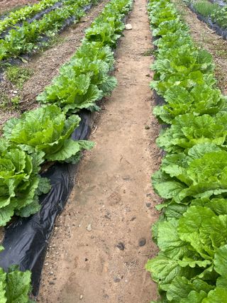 정연희님의 자유주제 · 자유게시판 작성글 사진