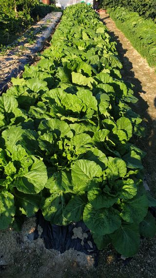 이상화님의 자유주제 · 자유게시판 작성글 사진