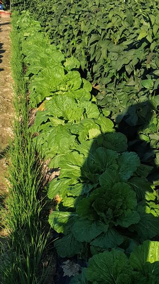 이상화님의 자유주제 · 자유게시판 작성글 사진