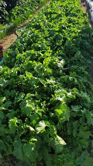이상화님의 자유주제 · 자유게시판 작성글 사진