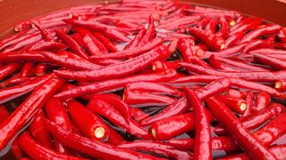 김동희님의 작성글 사진