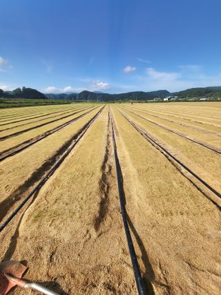녹색나라님의 자유주제 · 자유게시판 작성글 사진
